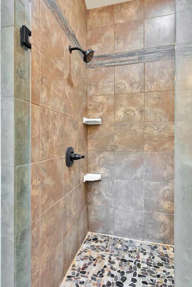26 Two Rivers Rd, Saint Regis, MT 59866 - bathroom featuring a tile shower