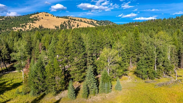 1782 Truman Creek Rd, Kila, MT 59920