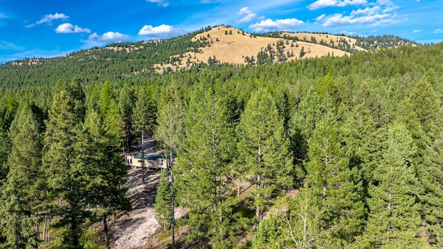 1782 Truman Creek Rd, Kila, MT 59920