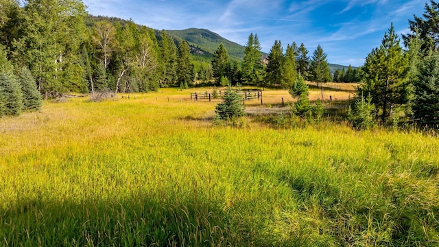 1782 Truman Creek Rd, Kila, MT 59920