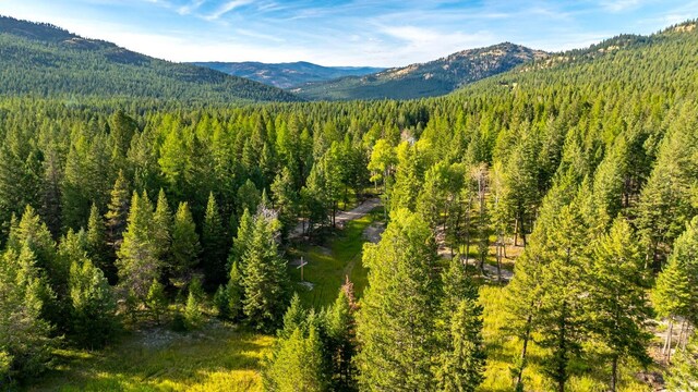 1782 Truman Creek Rd, Kila, MT 59920
