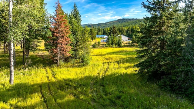 1782 Truman Creek Rd, Kila, MT 59920