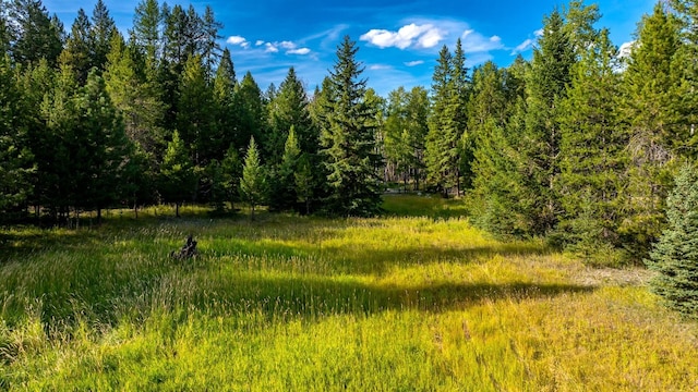 1782 Truman Creek Rd, Kila, MT 59920
