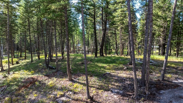 1782 Truman Creek Rd, Kila, MT 59920