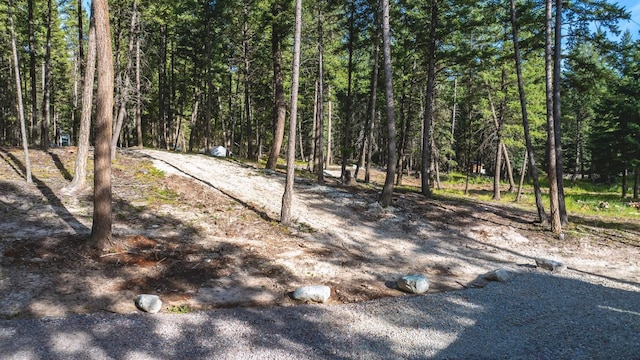 1782 Truman Creek Rd, Kila, MT 59920