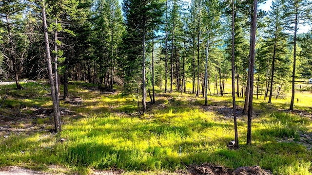 1782 Truman Creek Rd, Kila, MT 59920