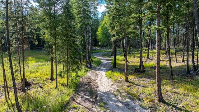 1782 Truman Creek Rd, Kila, MT 59920