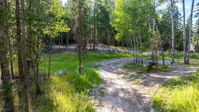 1782 Truman Creek Rd, Kila, MT 59920