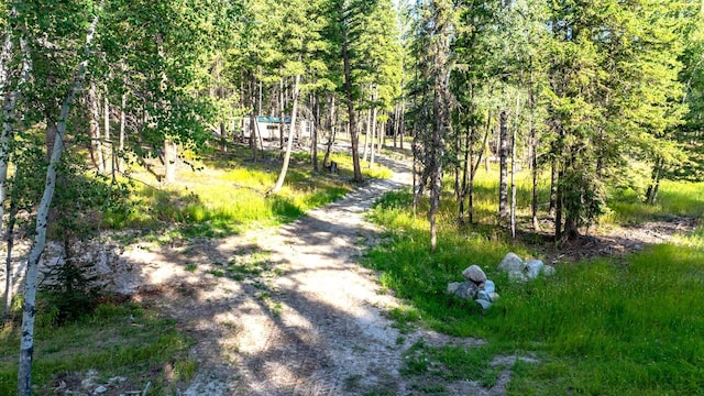 1782 Truman Creek Rd, Kila, MT 59920