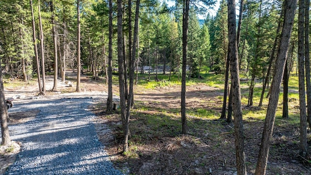 1782 Truman Creek Rd, Kila, MT 59920