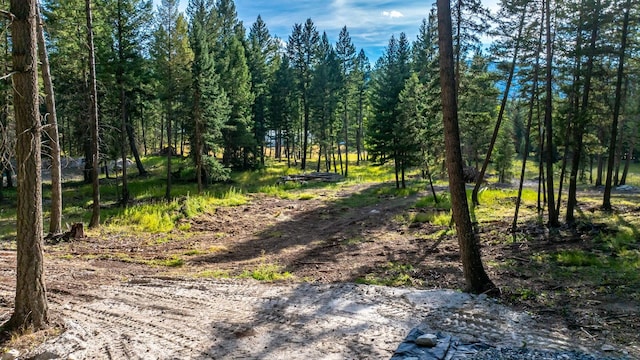 1782 Truman Creek Rd, Kila, MT 59920