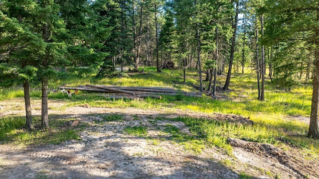 1782 Truman Creek Rd, Kila, MT 59920
