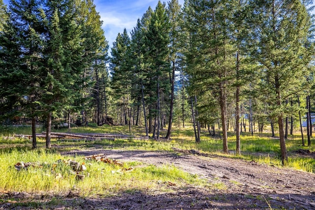 1782 Truman Creek Rd, Kila, MT 59920