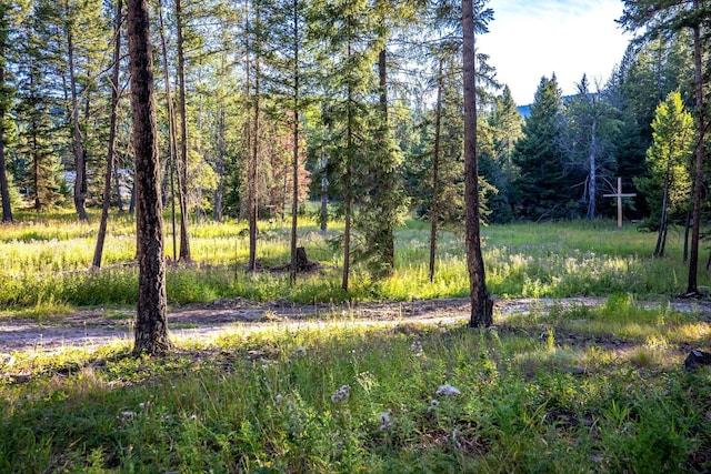 1782 Truman Creek Rd, Kila, MT 59920