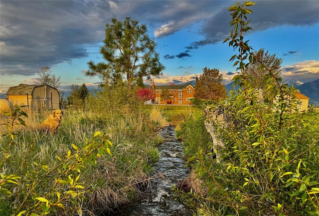 444 Windwalker Trl, Stevensville, MT 59870 - view of yard