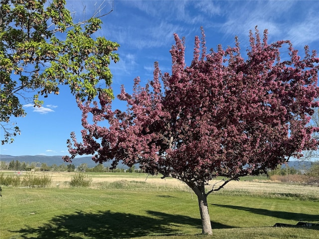 444 Windwalker Trl, Stevensville, MT 59870 - view of grassy yard featuring a rural view