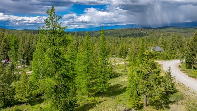 286 Annerly Ferry Rd, Rexford, MT 59930