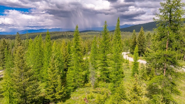 286 Annerly Ferry Rd, Rexford, MT 59930