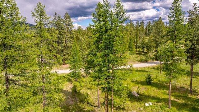 286 Annerly Ferry Rd, Rexford, MT 59930