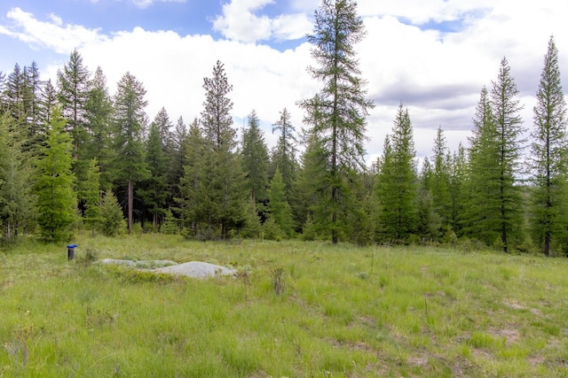 286 Annerly Ferry Rd, Rexford, MT 59930