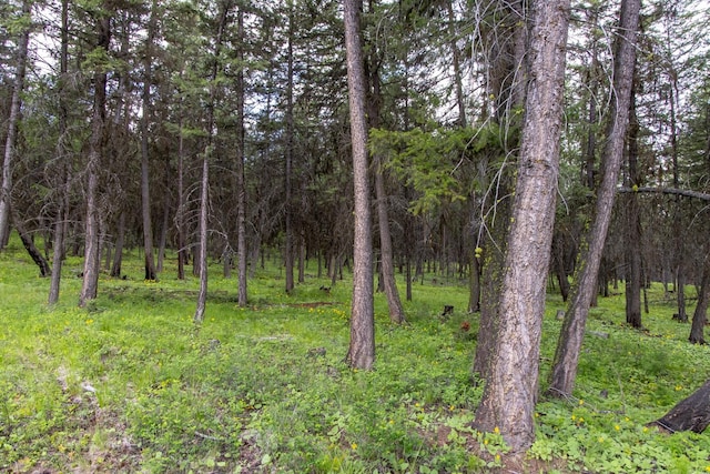 286 Annerly Ferry Rd, Rexford, MT 59930