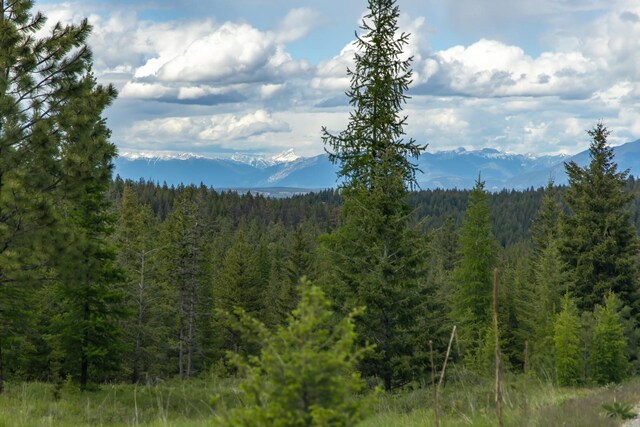286 Annerly Ferry Rd, Rexford, MT 59930