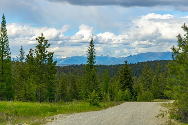286 Annerly Ferry Rd, Rexford, MT 59930