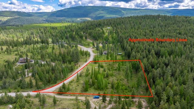 286 Annerly Ferry Rd, Rexford, MT 59930