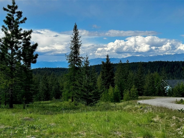 286 Annerly Ferry Rd, Rexford, MT 59930
