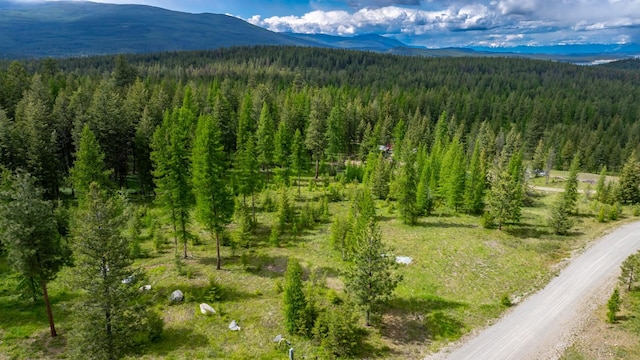 286 Annerly Ferry Rd, Rexford, MT 59930