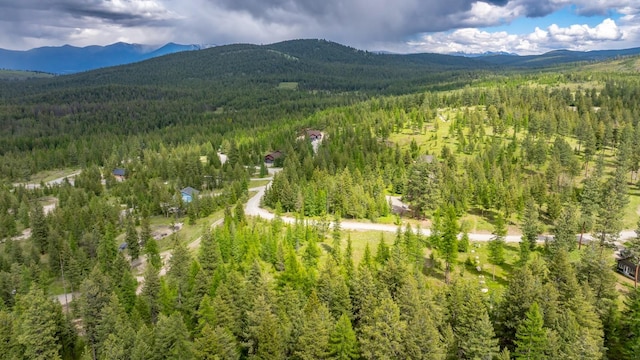 286 Annerly Ferry Rd, Rexford, MT 59930