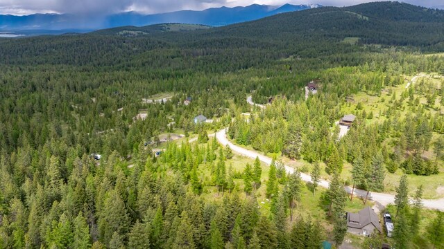 286 Annerly Ferry Rd, Rexford, MT 59930