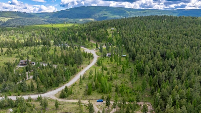 286 Annerly Ferry Rd, Rexford, MT 59930