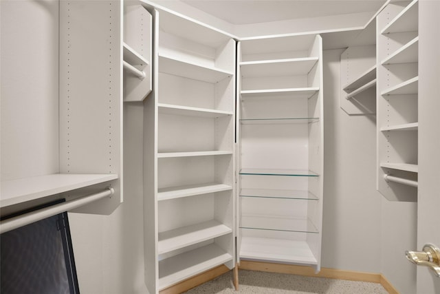 259 Eagle Bend Dr, Bigfork, MT 59911 - view of walk in closet