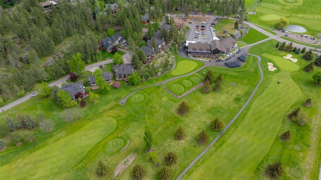 259 Eagle Bend Dr, Bigfork, MT 59911 - drone / aerial view of a golf club