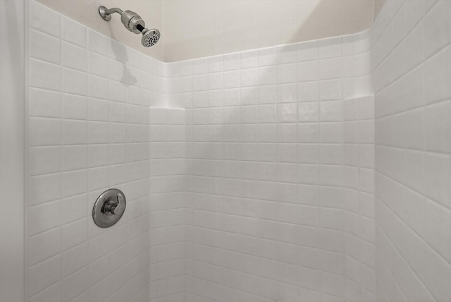 515 W Oregon St, Kalispell, MT 59901 - bathroom view of a tile shower