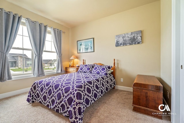 339 Elouise Cobell St, Helena, MT 59601 - carpeted bedroom featuring baseboards