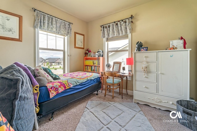 339 Elouise Cobell St, Helena, MT 59601 - view of carpeted bedroom