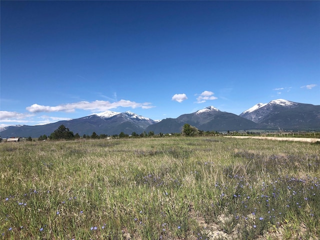 NKN Cougar Ln, Stevensville, MT 59870