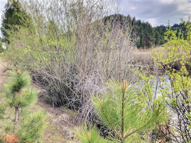 3 Rosie Ln, Jefferson City, MT 59638