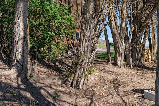 51943 Kuntz Ln, Charlo, MT 59824 - view of local wilderness