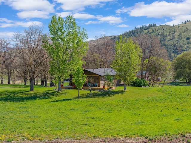 51943 Kuntz Ln, Charlo, MT 59824 - view of grassy yard featuring a mountain view