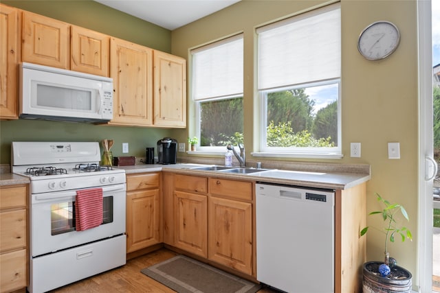 5015 Pius Way, Missoula, MT 59808 - kitchen with white appliances, a sink, light brown cabinets, and plenty of natural light