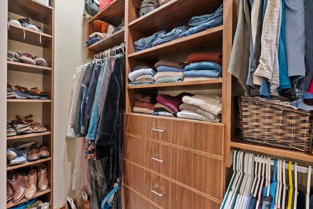 5675 US Highway 93 S Unit 10, Somers, MT 59932 - view of walk in closet