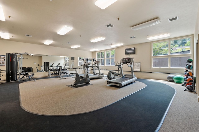 5675 US Highway 93 S Unit 10, Somers, MT 59932 - workout area with dark carpet