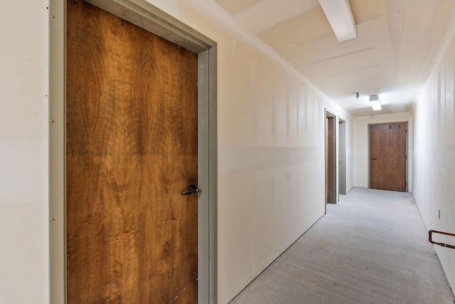 5675 US Highway 93 S Unit 10, Somers, MT 59932 - corridor with light carpet