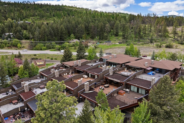 5675 US Highway 93 S Unit 10, Somers, MT 59932 - aerial view of a forest