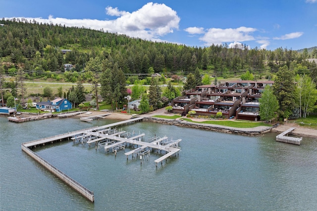 5675 US Highway 93 S Unit 10, Somers, MT 59932 - aerial view of a forest and a large body of water