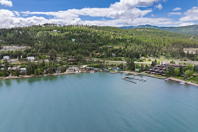 5675 US Highway 93 S Unit 10, Somers, MT 59932 - drone / aerial view of a heavily wooded area and a water and mountain view