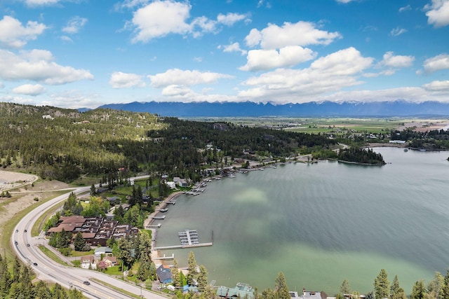 5675 US Highway 93 S Unit 10, Somers, MT 59932 - bird's eye view of a water and mountain view and a heavily wooded area